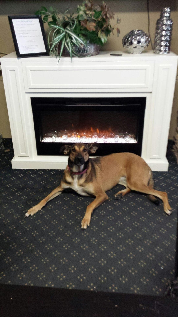 Lily's pick of the week!