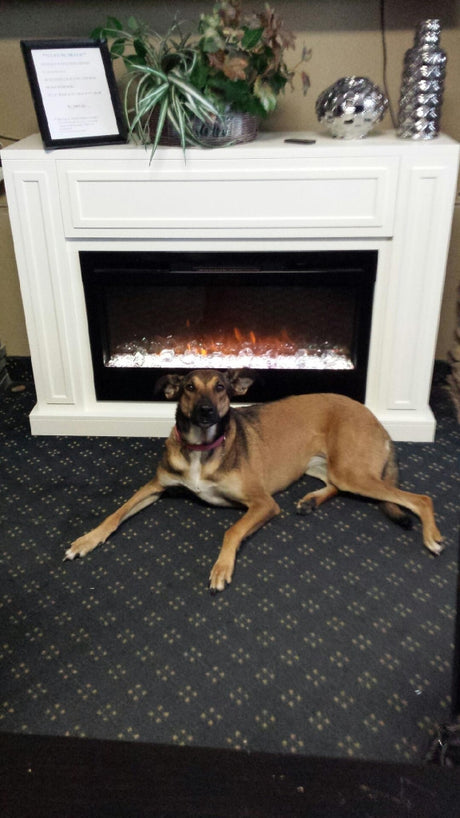 Lily's pick of the week!