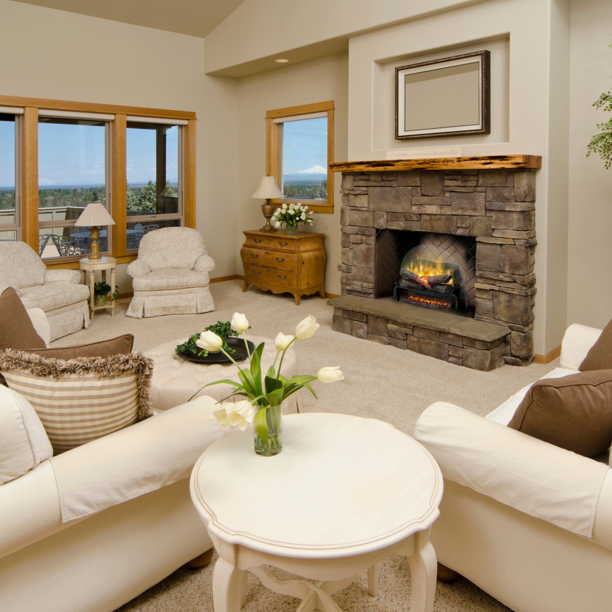 Electric fireplace lifestyle